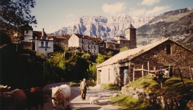 Torla