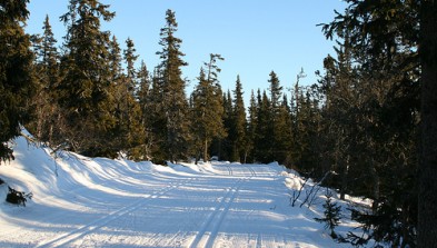 Trysil