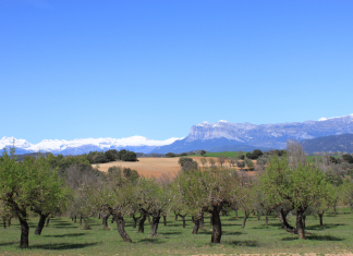 Disfruta del bello paisaje en Sobrarbe, Huesca La Peña Montañesa desde el Valle de Susía, Sobrarbe, Huesca, Aragón