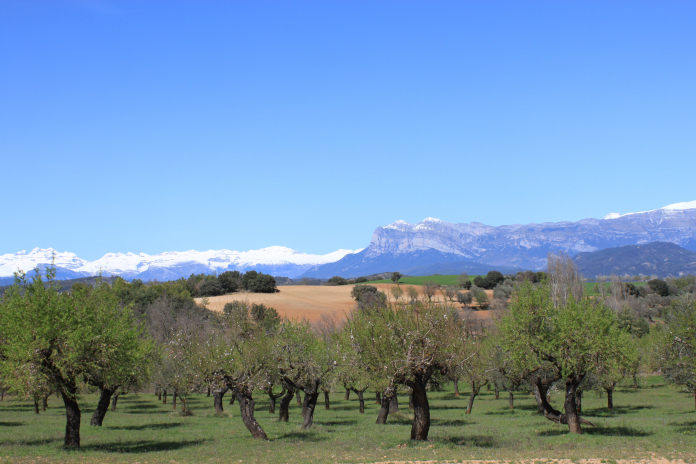 Disfruta del bello paisaje en Sobrarbe, Huesca La Peña Montañesa desde el Valle de Susía, Sobrarbe, Huesca, Aragón