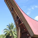 Casa_Tana_Toraja_Indonesia