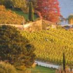 Lavaux en otoño