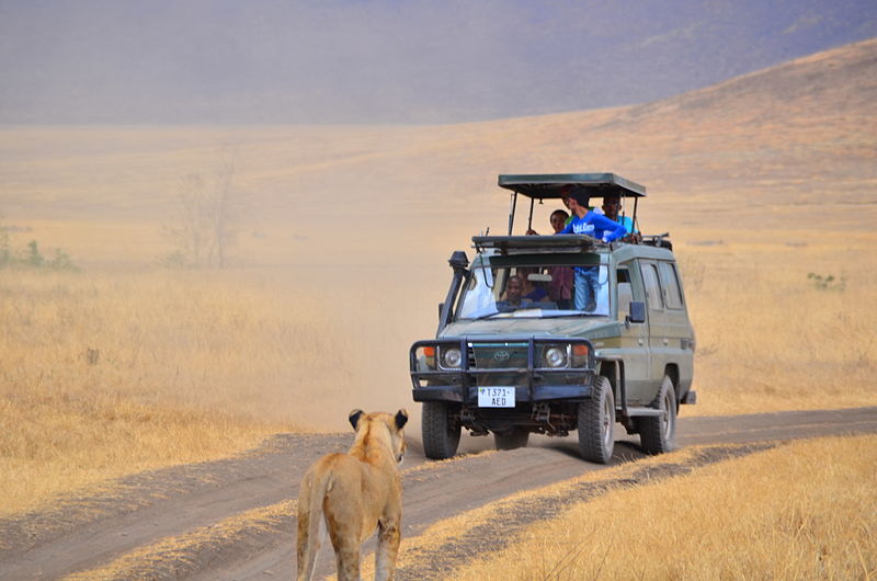 Safari Kenia