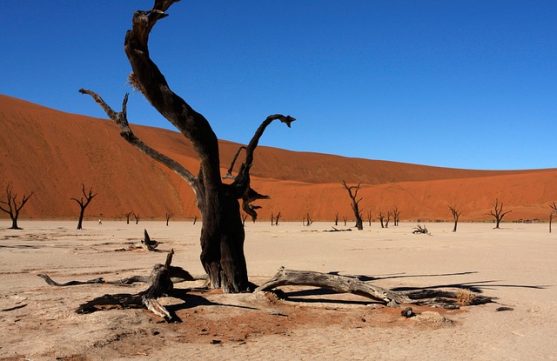 Sossusvlei namibia