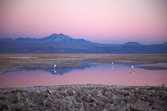 El salar del desierto de Atacama en Chile