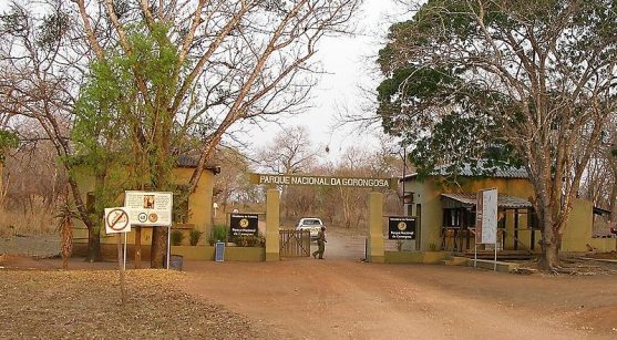 Mozambique: Parque Nacional de Gorongosa 