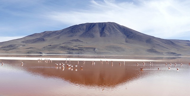 laguna colorada Bolivia