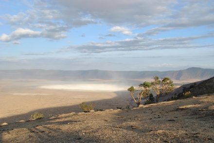 CRÁTER DEL NGORONGORO Tanzania