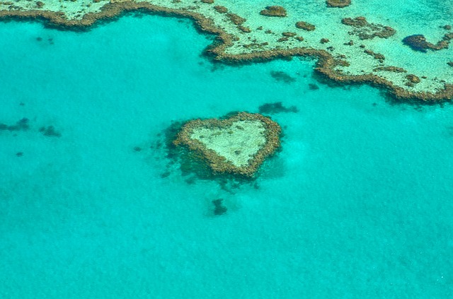 gran barrera de coral australia