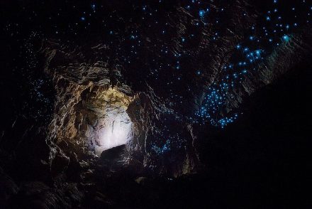 waitomo nueva zelanda