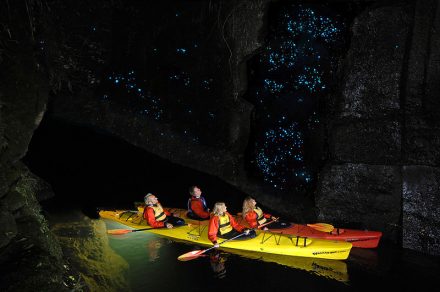 cueva-de-las-luciernagas-waitomo-nueva-zelanda