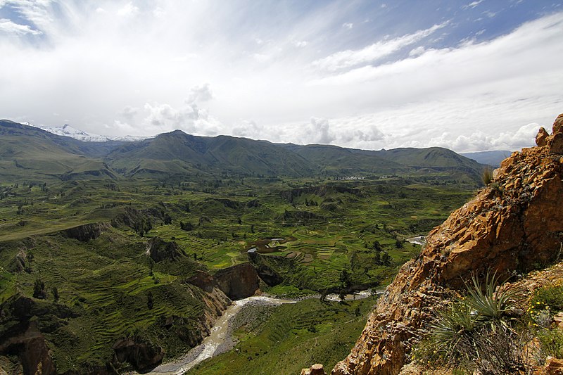  Cañón del Colca Arequipa