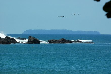 Isla del Caño buceo en costa rica