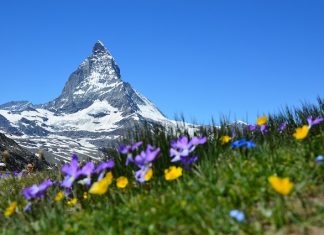 Aventura en trineo en un viaje a los Alpes suizos