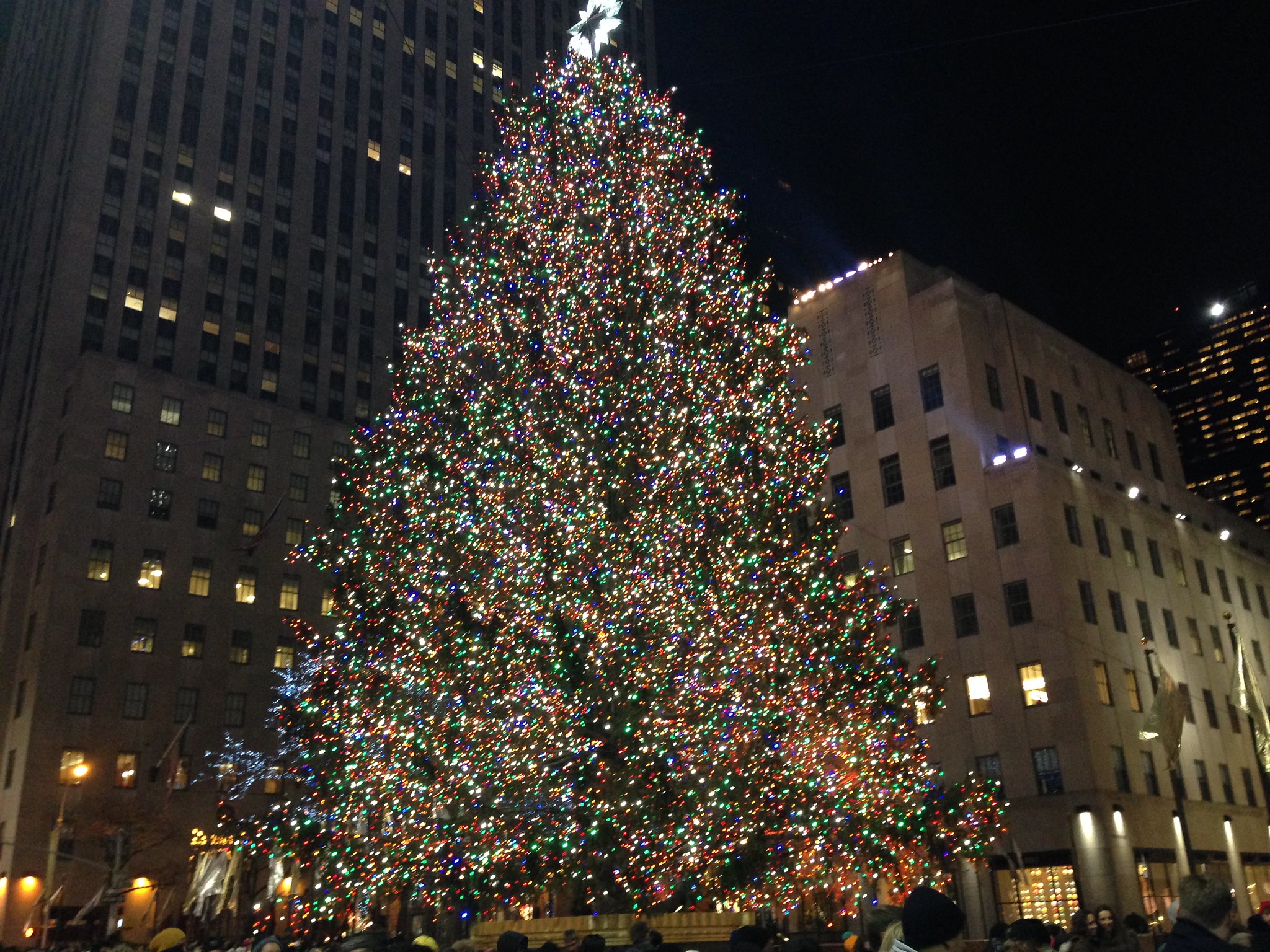 Así se monta el arbol de Navidad del Rockefeller Center de Nueva York