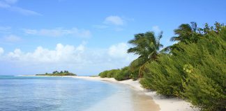 Las 6 mejores playas de Colombia Cayo Bolívar playas de Colombia