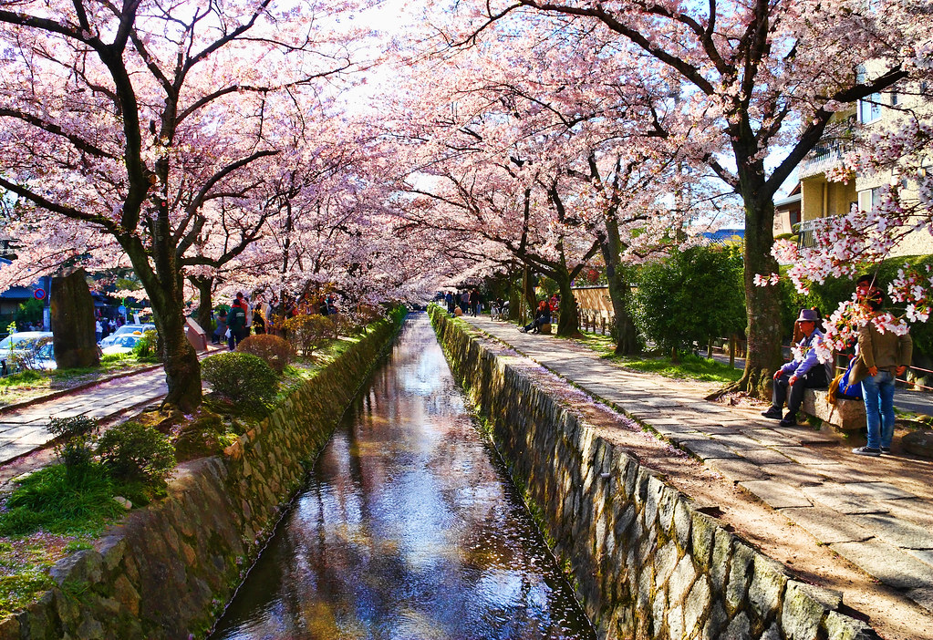 Camino del filósofo Kioto Japón