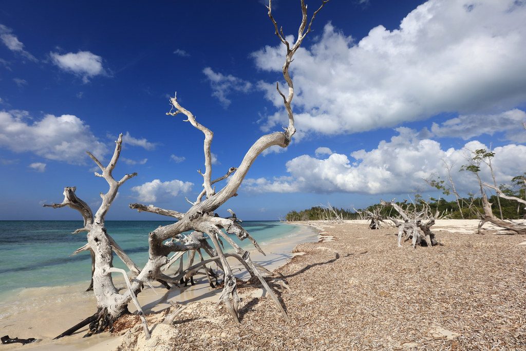 Cayo Levisa mejores playas de Cuba