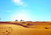 Por qué SÍ se puede viajar a Egipto en 2026 Desierto del Sahara en Egipto