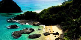 Las 5 mejores playas de Brasil playas de brasil