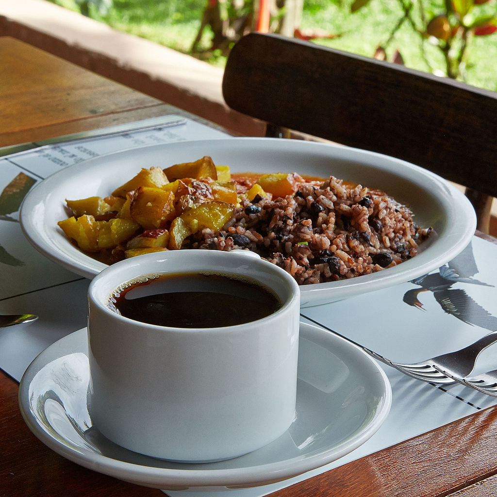 Gallo Pinto comidas típicas de Costa Rica
