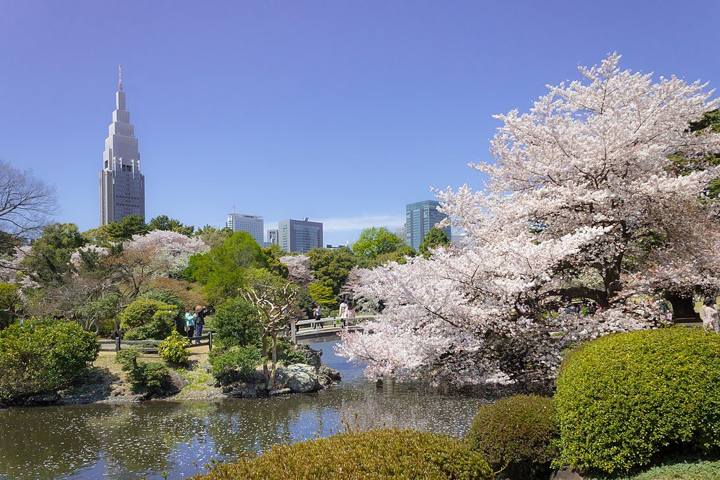 Jardines de Shinjuku Gyoen Tokio