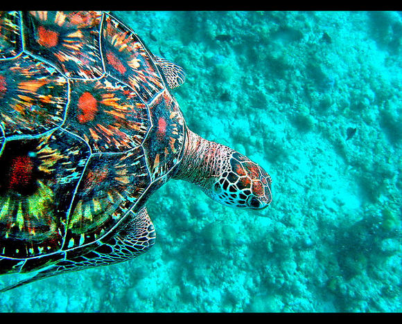 destinos agua cristalina