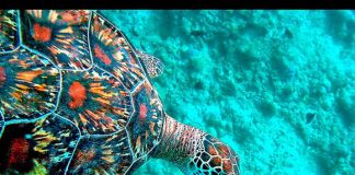 Los mejores destinos con agua cristalina del mundo destinos agua cristalina