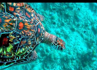 Los mejores destinos con agua cristalina del mundo destinos agua cristalina