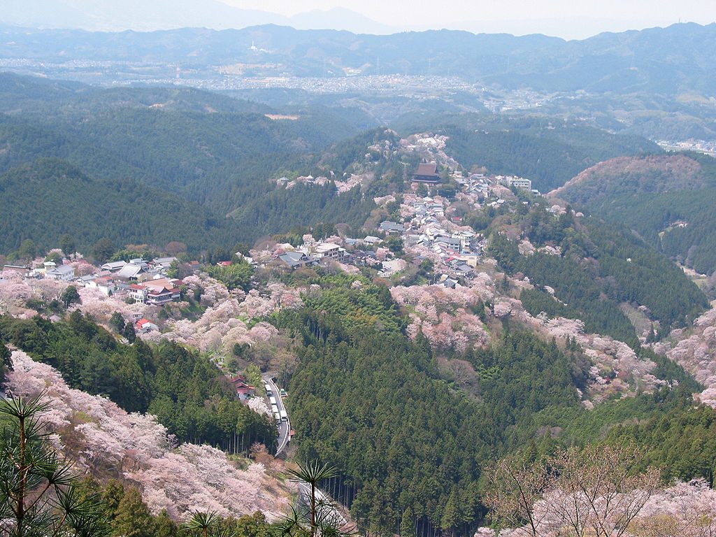 Monte Yoshino en Nara Japón