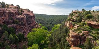 El paisaje protegido de los Pinares de Rodeno Paisaje-protegido-Pinares-de-Rodeno