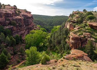 El paisaje protegido de los Pinares de Rodeno Paisaje-protegido-Pinares-de-Rodeno
