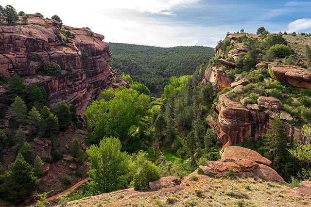 Paisaje-protegido-Pinares-de-Rodeno