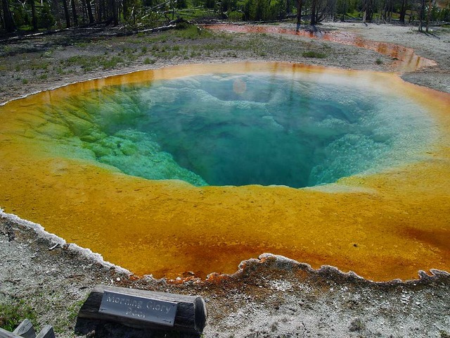 Parque Nacional Yellowstone Estados Unidos