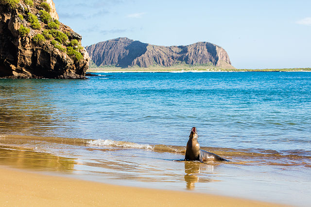 Parque Nacional de las Islas Galápagos Ecuador