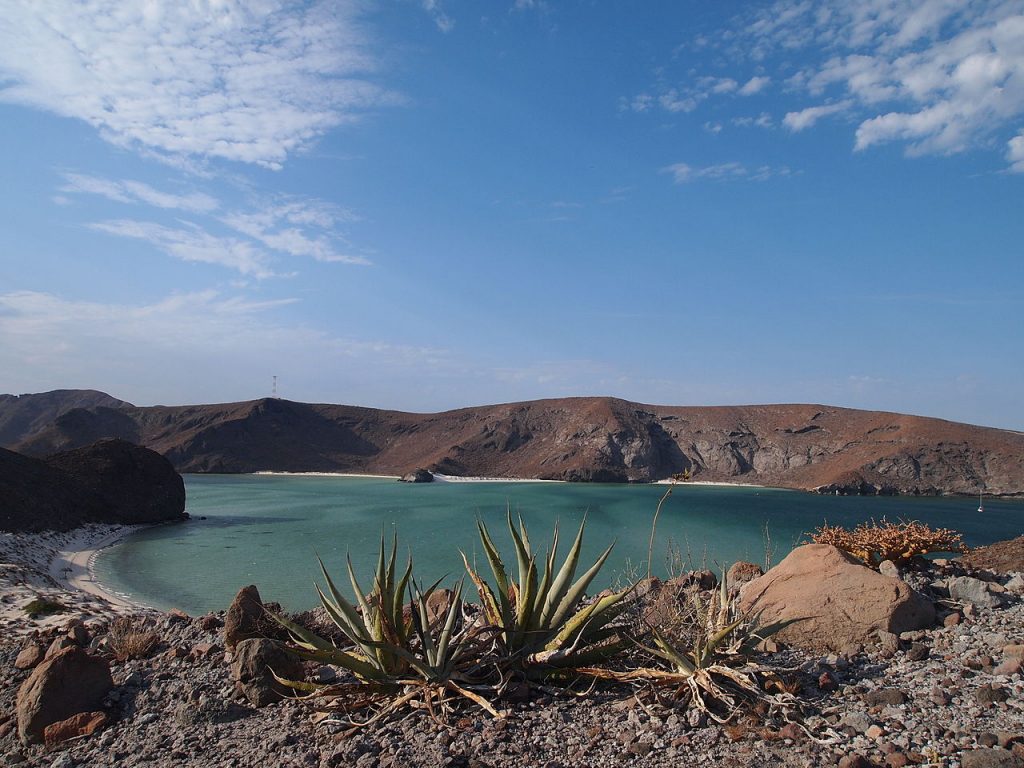 Playa Balandra, La Paz (Baja California Sur)