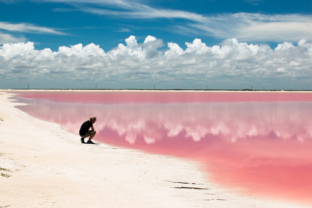 Playa Rosa, Las Coloradas (Yucatán)