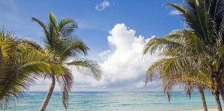 Relax en un viaje a la Riviera Maya