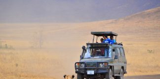 Safari por Kenia y Tanzania safari en kenia