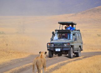 Safari por Kenia y Tanzania safari en kenia