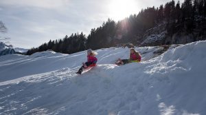 Trineo en los Alpes Suizos