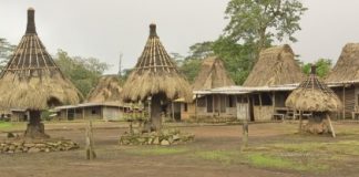 Turismo en Indonesia: la aldea de Wogo Wogo en Indonesia