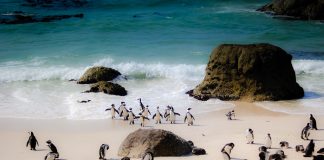 Las mejores playas y ríos salvajes del mundo mejores playas boulder