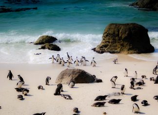 Las mejores playas y ríos salvajes del mundo mejores playas boulder