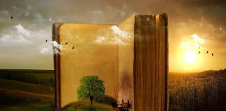 Libros de viajes para cada momento de la vida Libros de viajes