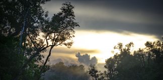 El instante de viaje: Ra y Mon en Malasia borneo malasia