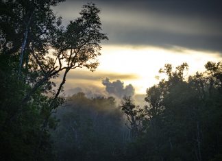 El instante de viaje: Ra y Mon en Malasia borneo malasia