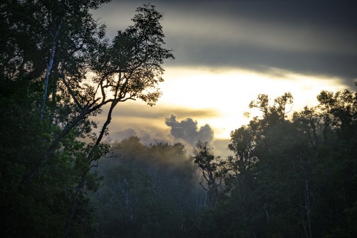 El instante de viaje: Ra y Mon en Malasia borneo malasia
