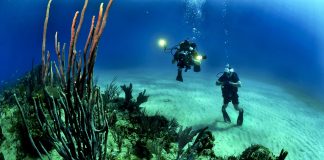 Los 10 mejores destinos para bucear buceo
