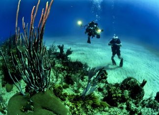 Los 10 mejores destinos para bucear buceo